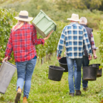 Praca sezonowa - co warto o niej wiedzieć?