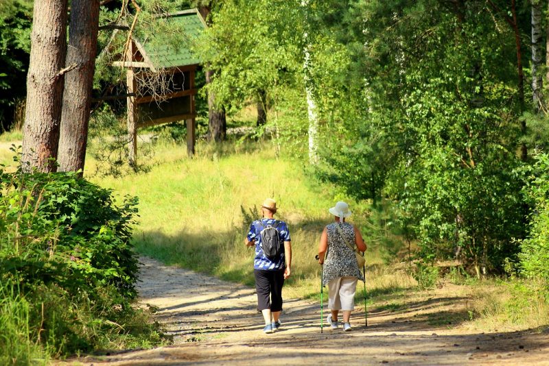 Udzielanie i planowanie urlopu wypoczynkowego w 2024 roku według Kodeksu Pracy