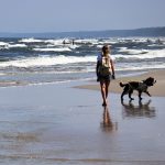 Przeniesienie niewykorzystanego urlopu wypoczynkowego na kolejną umowę o pracę zamiast ekwiwalentu - zasady